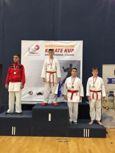 Vid Kralj Radulović